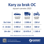 Read more about the article Kara za brak OC 2023
