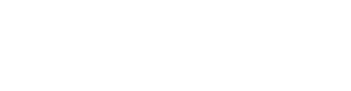 logo-expert white
